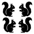 A silhouette Squirrel black, without background, only black silhouette Royalty Free Stock Photo