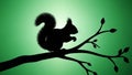 Silhouette of a squirrel perched on a tree branch against a green backgroun Royalty Free Stock Photo