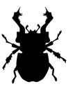 Silhouette of stag beetle