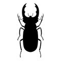 Silhouette of a stag beetle on a white background. Vector illustration. Royalty Free Stock Photo