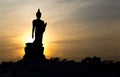 Silhouette standing big Buddha in Phutthamonthon Royalty Free Stock Photo