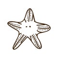 silhouette starfish animal marine design