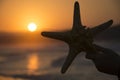 Silhouette of starfish on sunset background. Summer romantic background Royalty Free Stock Photo