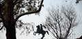 Silhouette of the statue of Alexander the Great