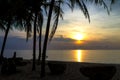 Silhouette stone and coconut