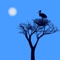 Silhouette stork in a nest on a tree Royalty Free Stock Photo