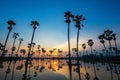 Silhouette sugar palm farm against sunrise and blue sky Royalty Free Stock Photo