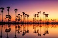 Silhouette Sugar Palm Tree on the rice field Royalty Free Stock Photo