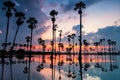 Silhouette sugar palm trees with reflect at dawn Royalty Free Stock Photo