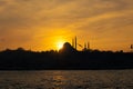 Silhouette of Suleymaniye Mosque and seagull. Islamic or ramadan photo Royalty Free Stock Photo