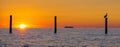Silhouette sunrise on the Chesapeake Bay Royalty Free Stock Photo