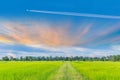 silhouette of the sunrise with the green paddy rice field, the beautiful sky and cloud in Thailand.