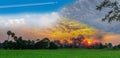 silhouette of the sunset with the green paddy rice field, the beautiful sky and cloud in the Royalty Free Stock Photo