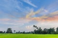 Silhouette of the sunset with the green paddy rice field, the beautiful sky and cloud in the evening in Thailand Royalty Free Stock Photo