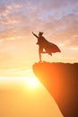 Super business woman on mountain Royalty Free Stock Photo