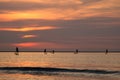 Silhouette of surf boys in the evening sun Royalty Free Stock Photo