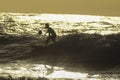 Silhouette Surfer