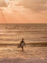Silhouette of a surfer with a board in the rays of the evening sun Royalty Free Stock Photo