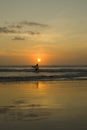 Silhouette of a Surfer carrying his surfboard on Kuta Beach at a golden Sunset Royalty Free Stock Photo