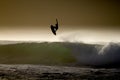 Surfer does aerial sat J-Bay, South Africa Royalty Free Stock Photo