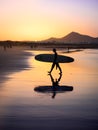 Silhouette of a Surfer on Famara beach at sunset