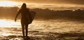 Silhouette surfer girl surfing looking at ocean beach