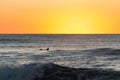 Silhouette of Surfer on the Ocean Waiting for the Sunrise. Narrabeen, Sydney, Australia Royalty Free Stock Photo