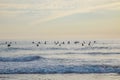 Silhouette Of surfer people on sunset beach catch oceans wave.Surfing sport and travel concept