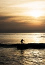 Silhouette of a surfer at sunrise