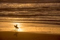 Silhouette of a surfer at sunset on the atlantic ocean, Lacanau France