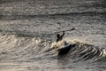 Silhouette Surfer at Sunset