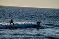 Silhouette Surfer at Sunset