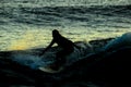 Silhouette Surfer at Sunset