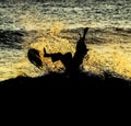 Silhouette Surfer at Sunset