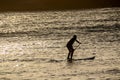 Silhouette Surfer at Sunset