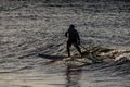 Silhouette Surfer at Sunset