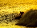 Silhouette Surfer at Sunset