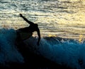 Silhouette Surfer at Sunset