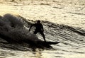 Silhouette Surfer at Sunset