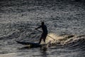 Silhouette Surfer at Sunset