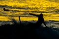 Silhouette Surfer at Sunset