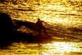 Silhouette Surfer at Sunset