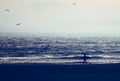 Silhouette, of Surfer walking on the beach at sunset. San Simeon beach, southern California Royalty Free Stock Photo