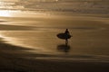 Silhouette of surfers in scenic golden sunset on hendaye beach, basque country, france