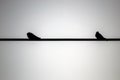 Silhouette of 2 swallows on a wire Royalty Free Stock Photo