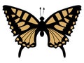 Silhouette of swallowtail butterfly