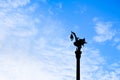 Silhouette Swan Lamp post with blue cloudy sky