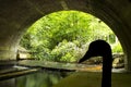 Silhouette of a swan under the bridge - Virginia Waters Royalty Free Stock Photo