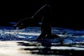 Silhouette swimmer 01 Royalty Free Stock Photo