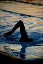 Silhouette swimmer 03 Royalty Free Stock Photo